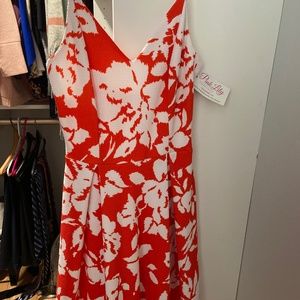 Fit and flare pleated floral dress